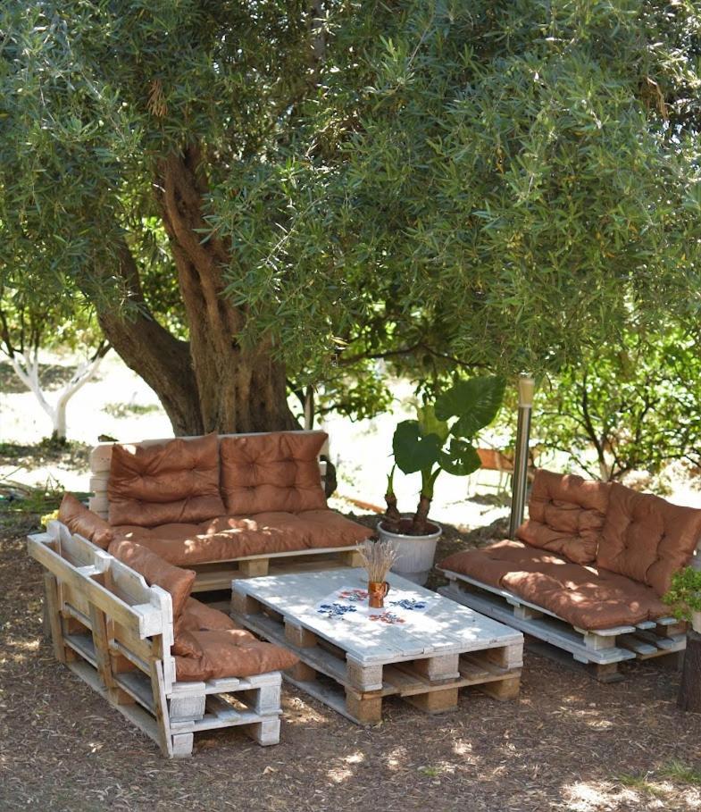 Vila Toskaj Vlorë 外观 照片