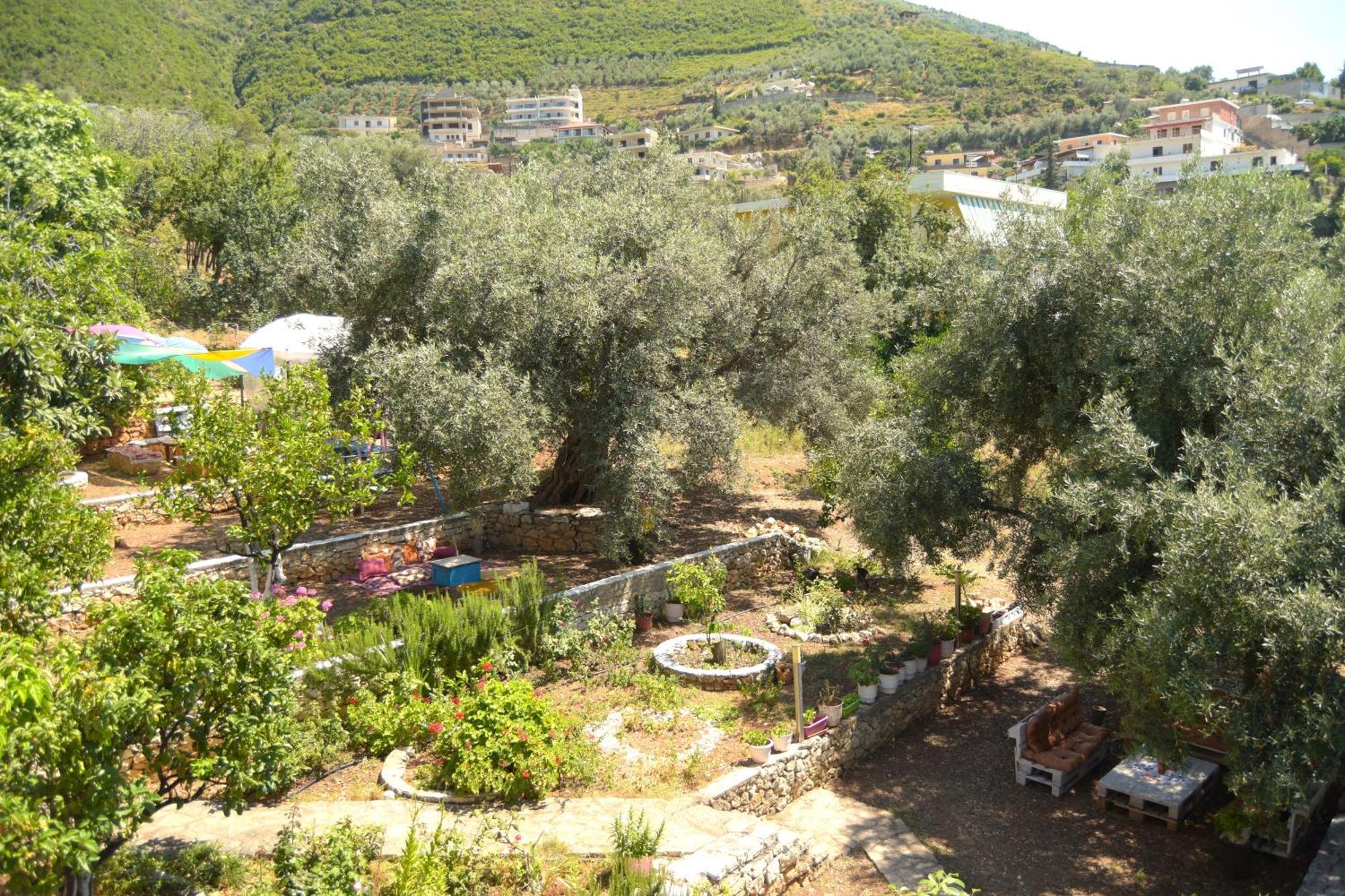 Vila Toskaj Vlorë 外观 照片